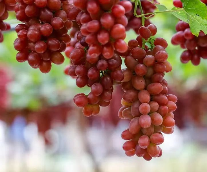 ����������ж����˾�1Ķˮ����̽�á����ǡ��������������ҵ