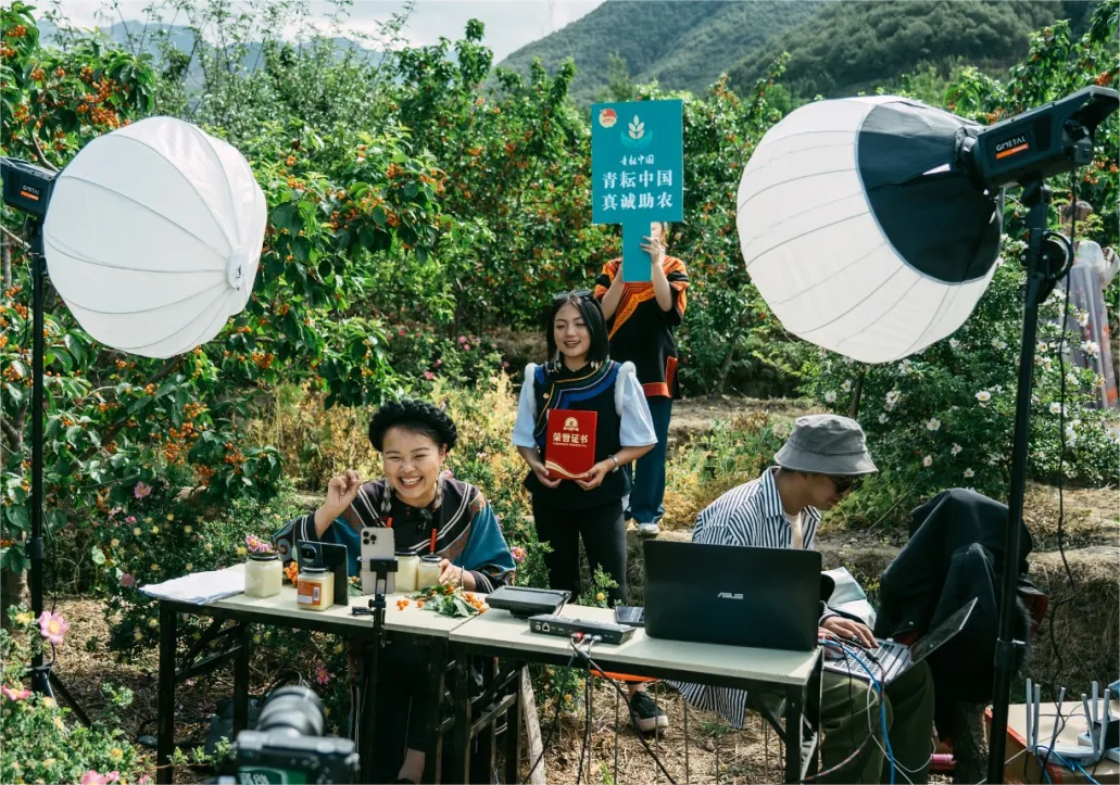 2024��ũ�������ô������ע��14�����߲�����