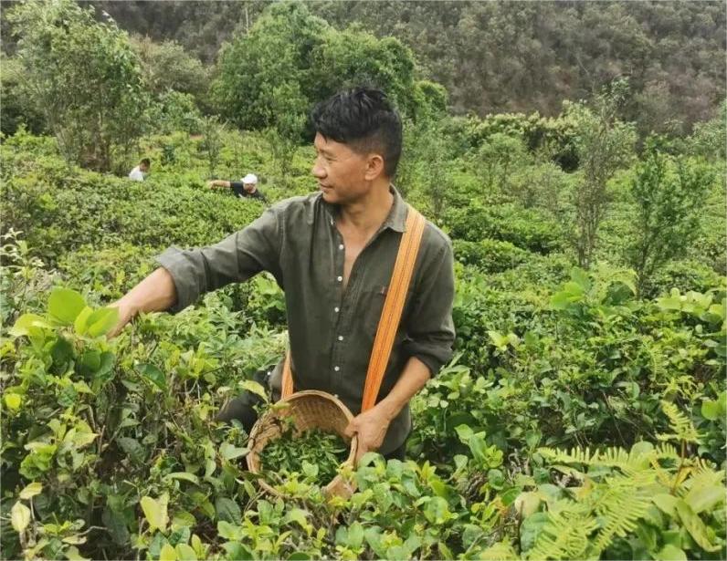 ��������ǰ���������״���ҵ���޹�˾���з���ָ�����飡