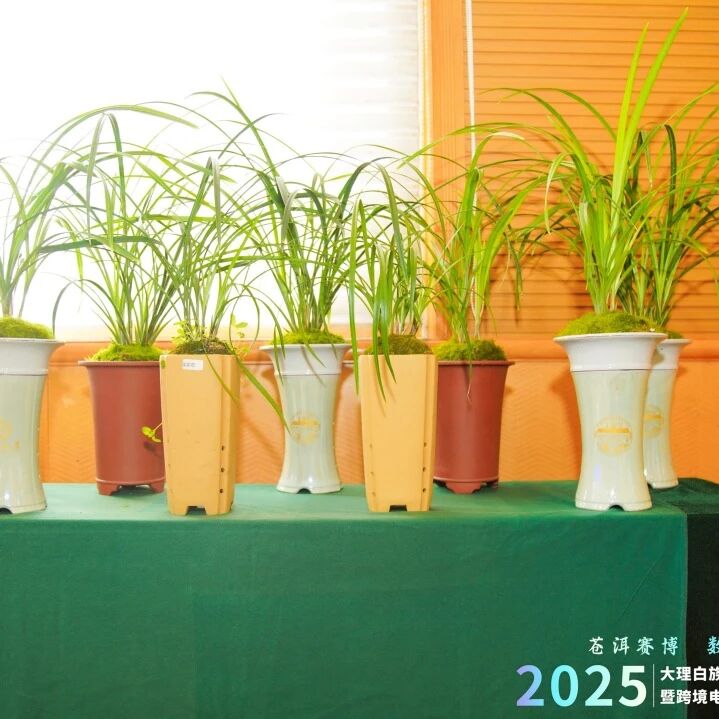 2004402821630853120